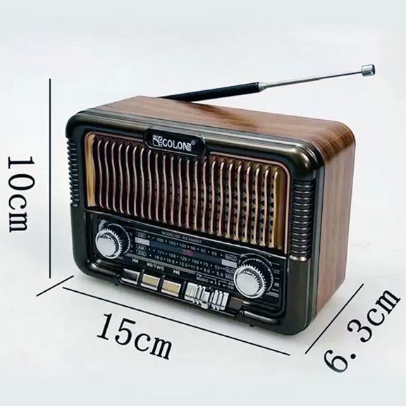 Radio Golon RX-6060 BT